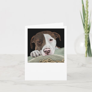 "Desire" - Pit Bull Card