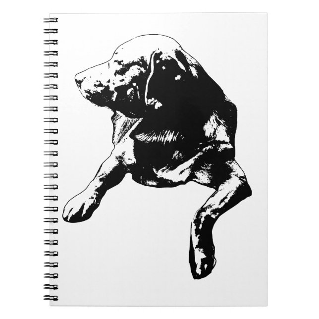 Desk-Hour Helper, Lab Notes Notebook (Front)