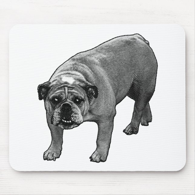 Desk Snow Dots Mouse Pad (Front)