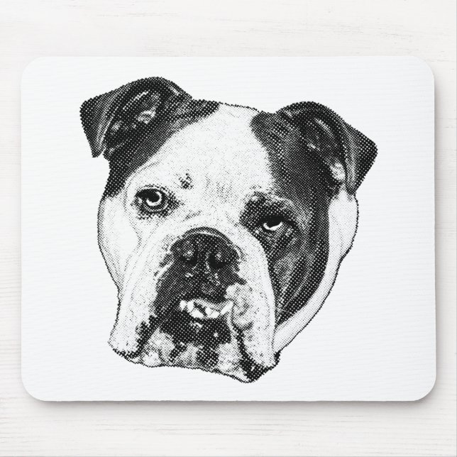 Desk Snow Quiet Pad Mouse Pad (Front)