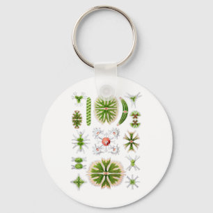 Desmids Keychain