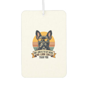 DÉSODORISANT POUR VOITURE 