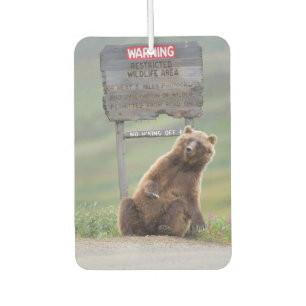 DÉSODORISANT POUR VOITURE 