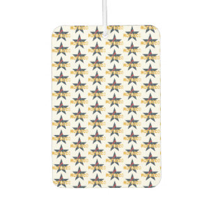 DÉSODORISANT POUR VOITURE 