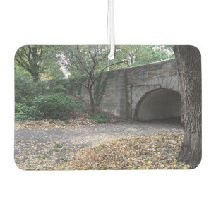 DÉSODORISANT POUR VOITURE 