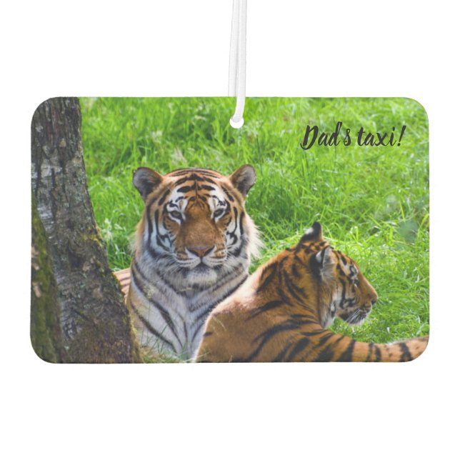 Désodorisant Pour Voiture Amur Tigers Rafraîchiseur d'air (Dos)