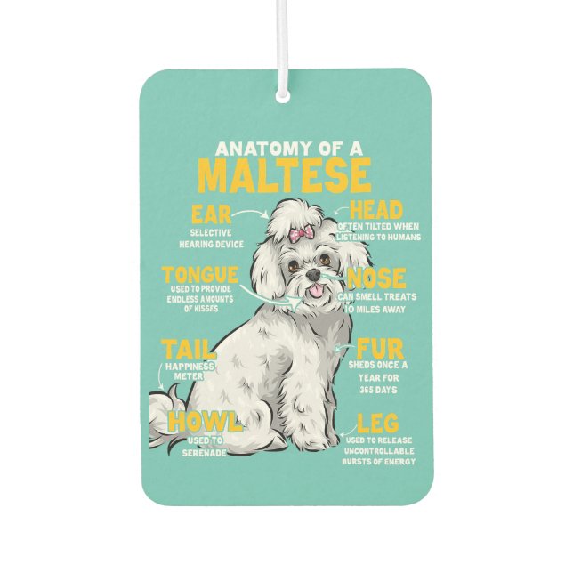 Désodorisant Pour Voiture anatomie d'un amoureux des chiens maltais (Devant)