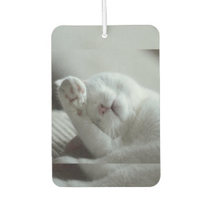 Désodorisant Pour Voiture Animal, Chat, Feline