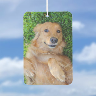 Désodorisant Pour Voiture Animaux de compagnie Air Freshener