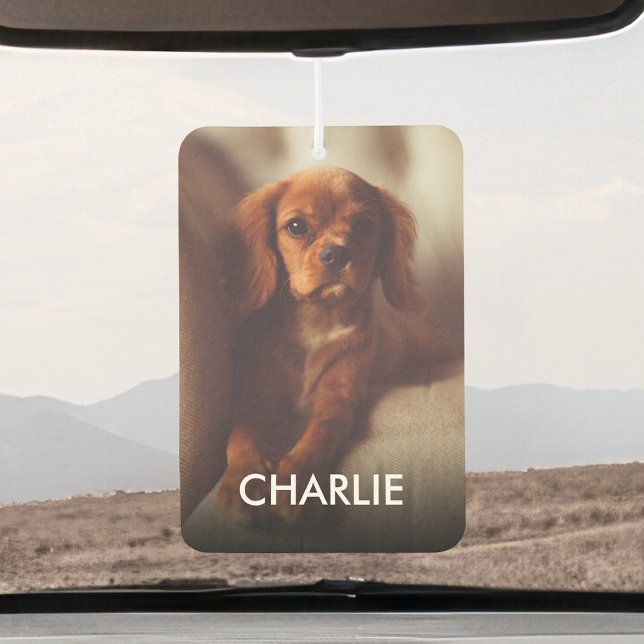 Désodorisant Pour Voiture Animaux De Compagnie Personnalisés Photo Et Nom (Créateur téléchargé)