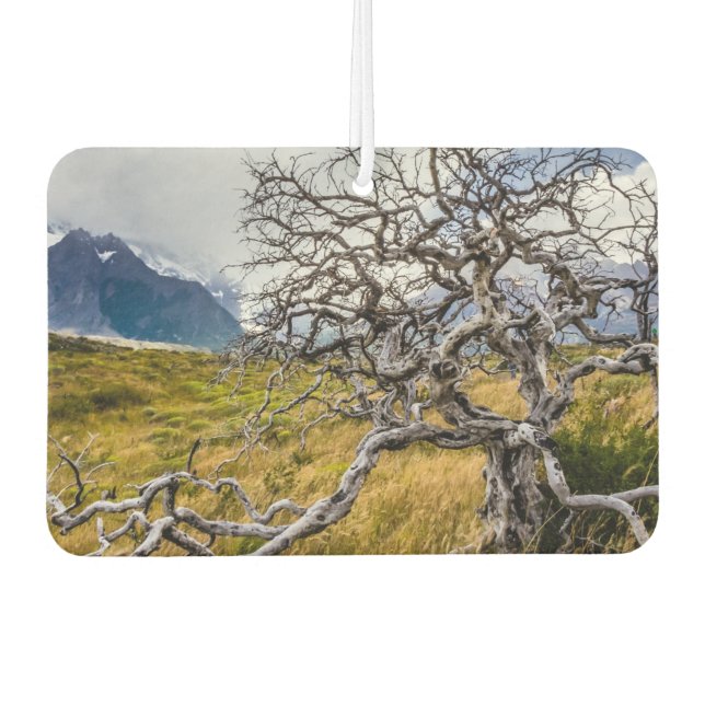 Désodorisant Pour Voiture Arbre brûlé, Torres del Paine, Chili (Devant)