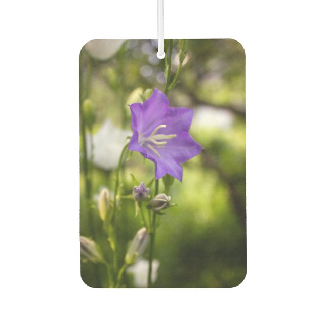 Désodorisant Pour Voiture Arbres et fleurs romantiques – Fantaisie botanique (Devant)