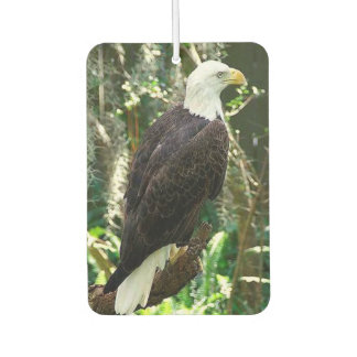 Désodorisant Pour Voiture Bald Eagle Portrait Rectangle Air Freshener