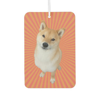 Désodorisant Pour Voiture Barkley Marque Rectangle Air Freshener