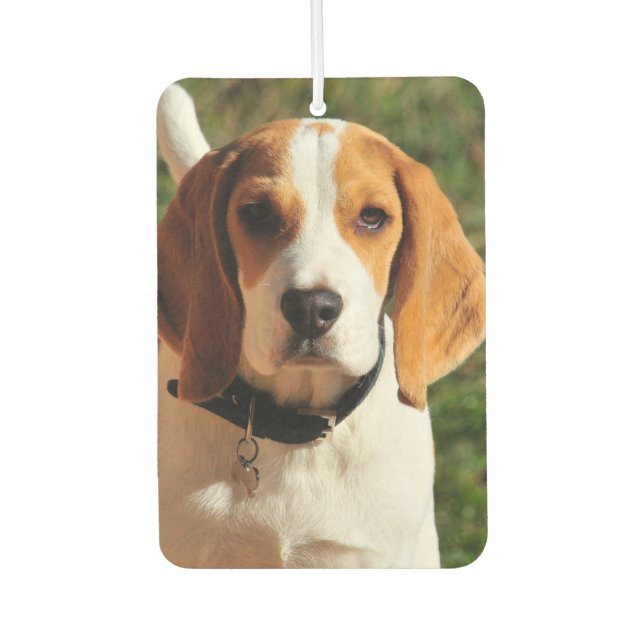 Désodorisant Pour Voiture Beagle Car Air Freshener (Devant)