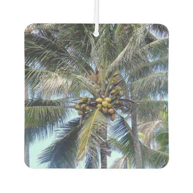 Désodorisant Pour Voiture Belle tasse de noix de coco (Devant)