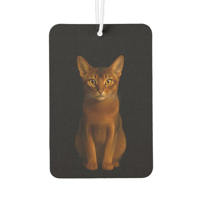 Désodorisant Pour Voiture Black 4 Luxe Car Air Fresheners, Abyssinian Beauty (Dos)