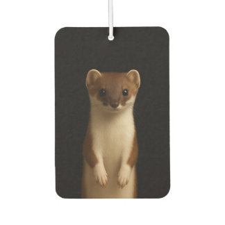 Désodorisant Pour Voiture Black 4 Luxe Car Air Fresheners, Elegant Weasel