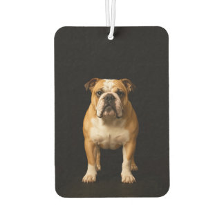 Désodorisant Pour Voiture Black 4 Luxe Car Air Fresheners Stamina Bulldog