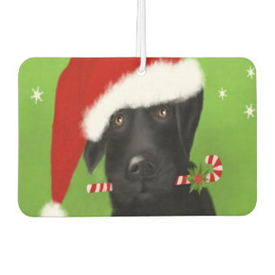 Désodorisant Pour Voiture Black Labrador -Funny Lab Christmas Freshener