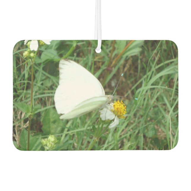 Désodorisant Pour Voiture Blanc sur vert (Devant)