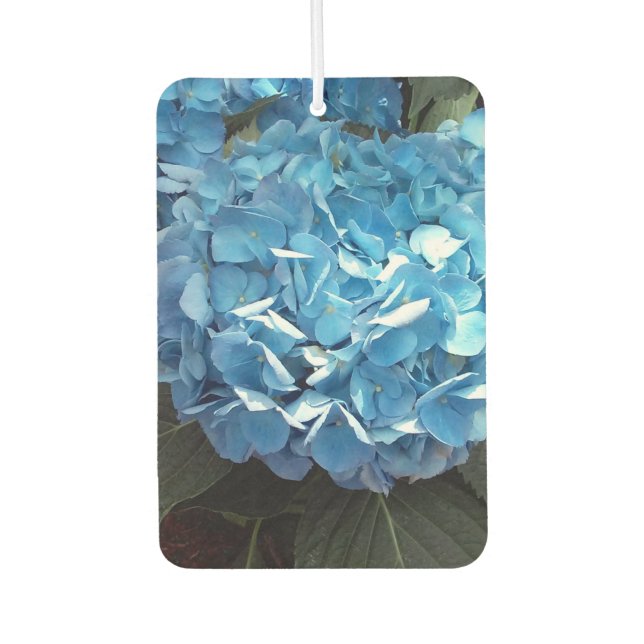 Désodorisant Pour Voiture Blue Hydrangea Portrait Rectangle Air Freshener (Devant)