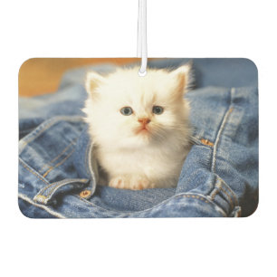 Désodorisant Pour Voiture Blue Jean Pocket Kitten Air Freshener