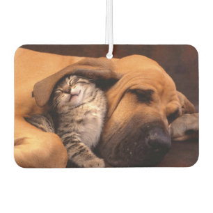 Désodorisant Pour Voiture Buddies Air Freshener
