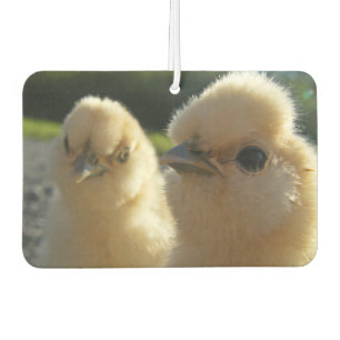 Désodorisant Pour Voiture Buff Silkie poulet