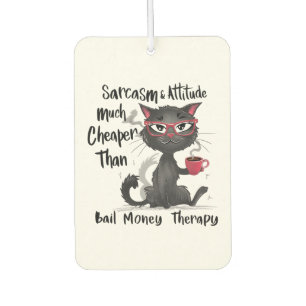 Désodorisant Pour Voiture Cadeau drôle pour amateur de chats avec sarcasme e