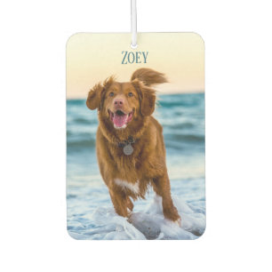 Désodorisant Pour Voiture Cadeau Souvenir Personnalisé avec Photo d'Animal d