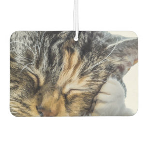 Désodorisant Pour Voiture Calico Dreams Air Freshener
