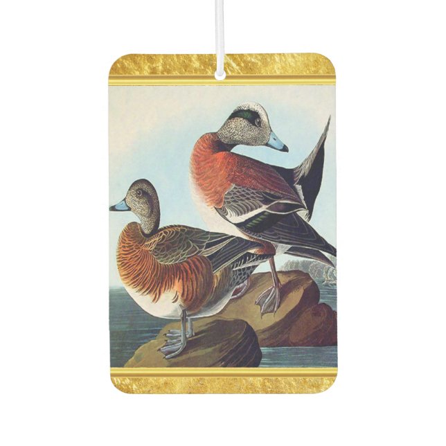 Désodorisant Pour Voiture Canards Widgeon américains sur une roche (Devant)