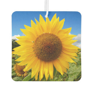 Désodorisant Pour Voiture Carré Sunflower Air Freshener