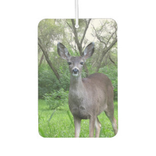 Désodorisant Pour Voiture Cerf dans Woods Air Freshener