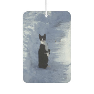 Désodorisant Pour Voiture chat dans la neige