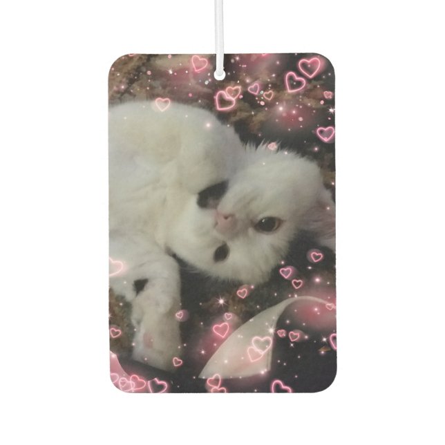 Désodorisant Pour Voiture Chat Personnalisé Photo Voiture Air Freshener (Devant)