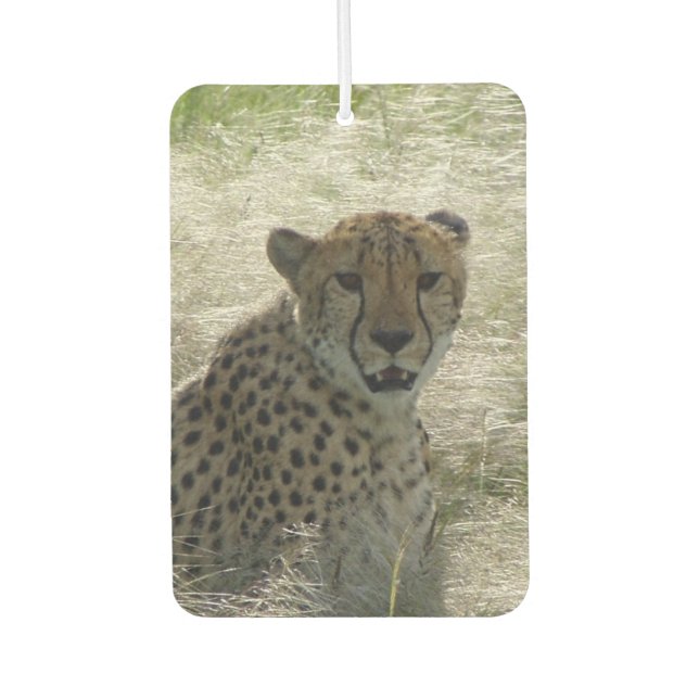 Désodorisant Pour Voiture Cheetah Air Freshener (Devant)