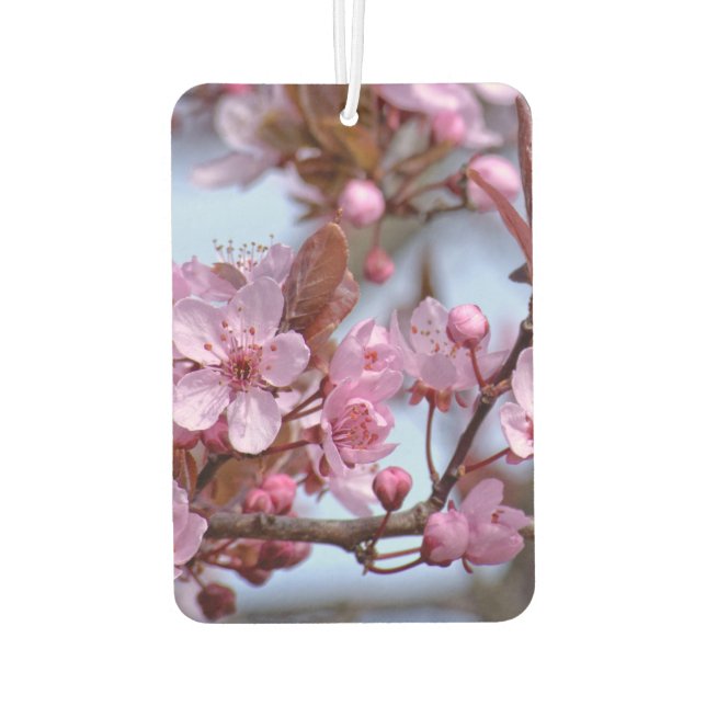 Désodorisant Pour Voiture Cherry Blossom Japonais (Dos)