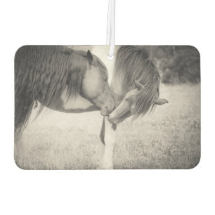 Désodorisant Pour Voiture Chevaux Baiser Air Freshener
