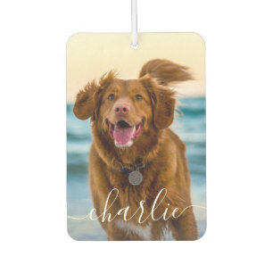 Désodorisant Pour Voiture Chien chat animal de compagnie Photo et nom Texte