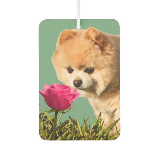 Désodorisant Pour Voiture Chien et Rose de Poméranie (Devant)