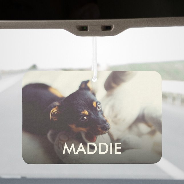 Désodorisant Pour Voiture Concevez Vos Propres Animaux Photo Et Nom Personna (Créateur téléchargé)