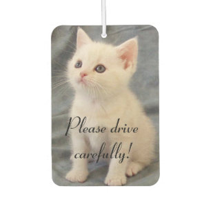 Désodorisant Pour Voiture Conduire prudemment Kitten