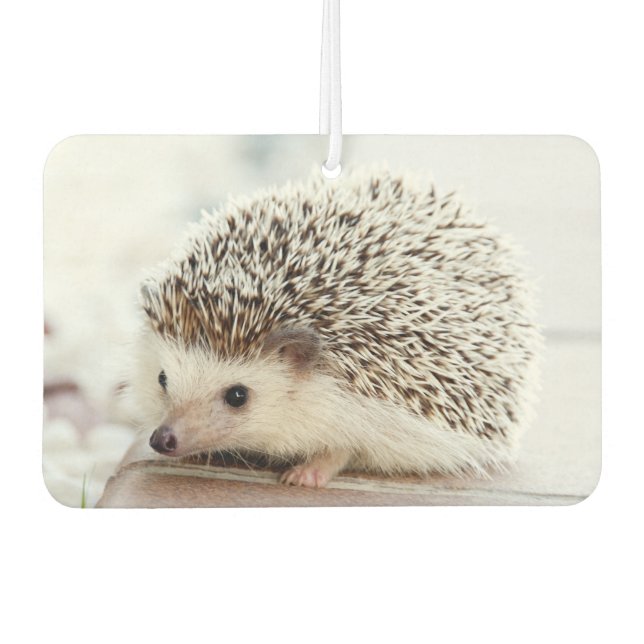 Désodorisant Pour Voiture Cute Baby Hedgehog Photo (Devant)