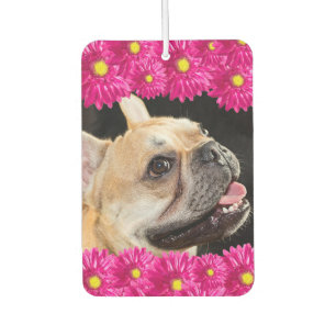 Désodorisant Pour Voiture Cute Hot Rose Daisy voiture photo personnalisée