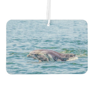 Désodorisant Pour Voiture Dauphin d'amour de la mère et Freshener de l'air d
