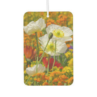 Désodorisant Pour Voiture Des pavots blancs poussent autour des fleurs color