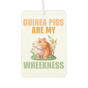 Désodorisant Pour Voiture Désodorisant de voiture Wheekness