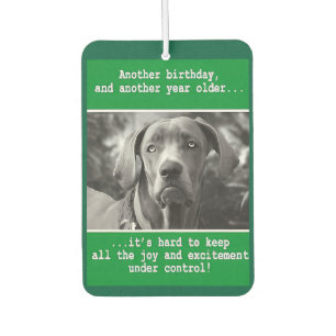 Désodorisant Pour Voiture Drôle photo de chien personnalisée Anniversaire